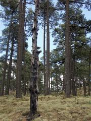 100214_Paso_de_Cortes 071